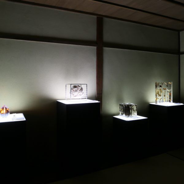 【ご報告】自然の造形美展