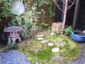 苔庭がきれいになりました