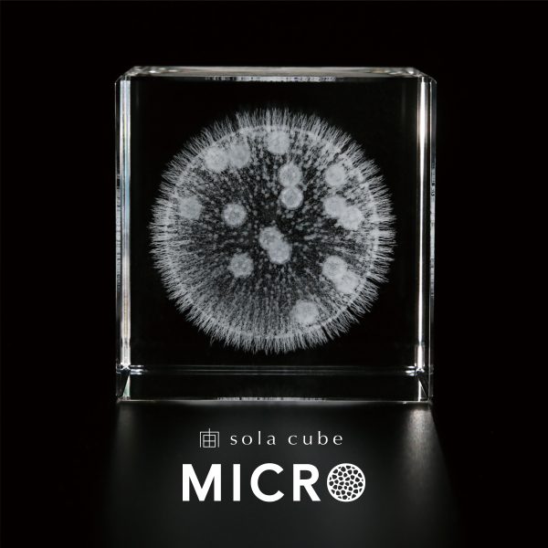 Sola cube Micro