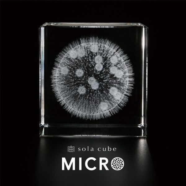 Sola cube Micro