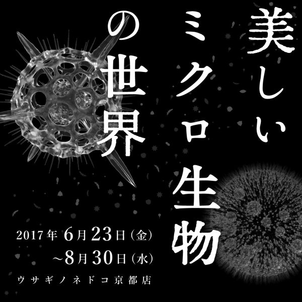 企画展「美しいミクロ生物の世界」開催のお知らせ