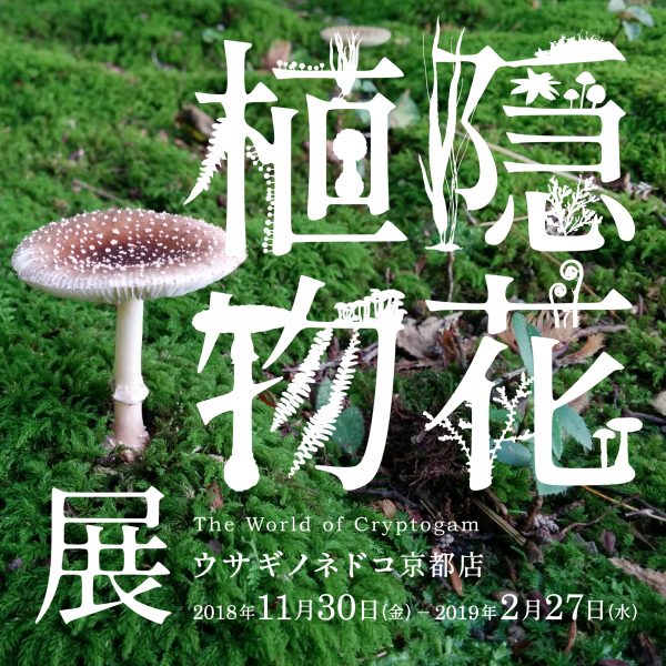 隠花植物展・出展者紹介＆会期中イベントのご案内