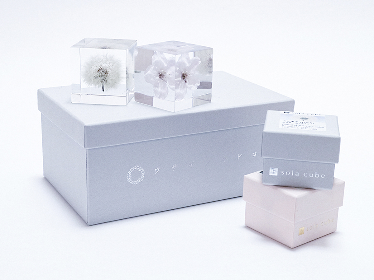 スタッフコラム #004 | サクラのSola cubeをおトクにGET！セット商品の 