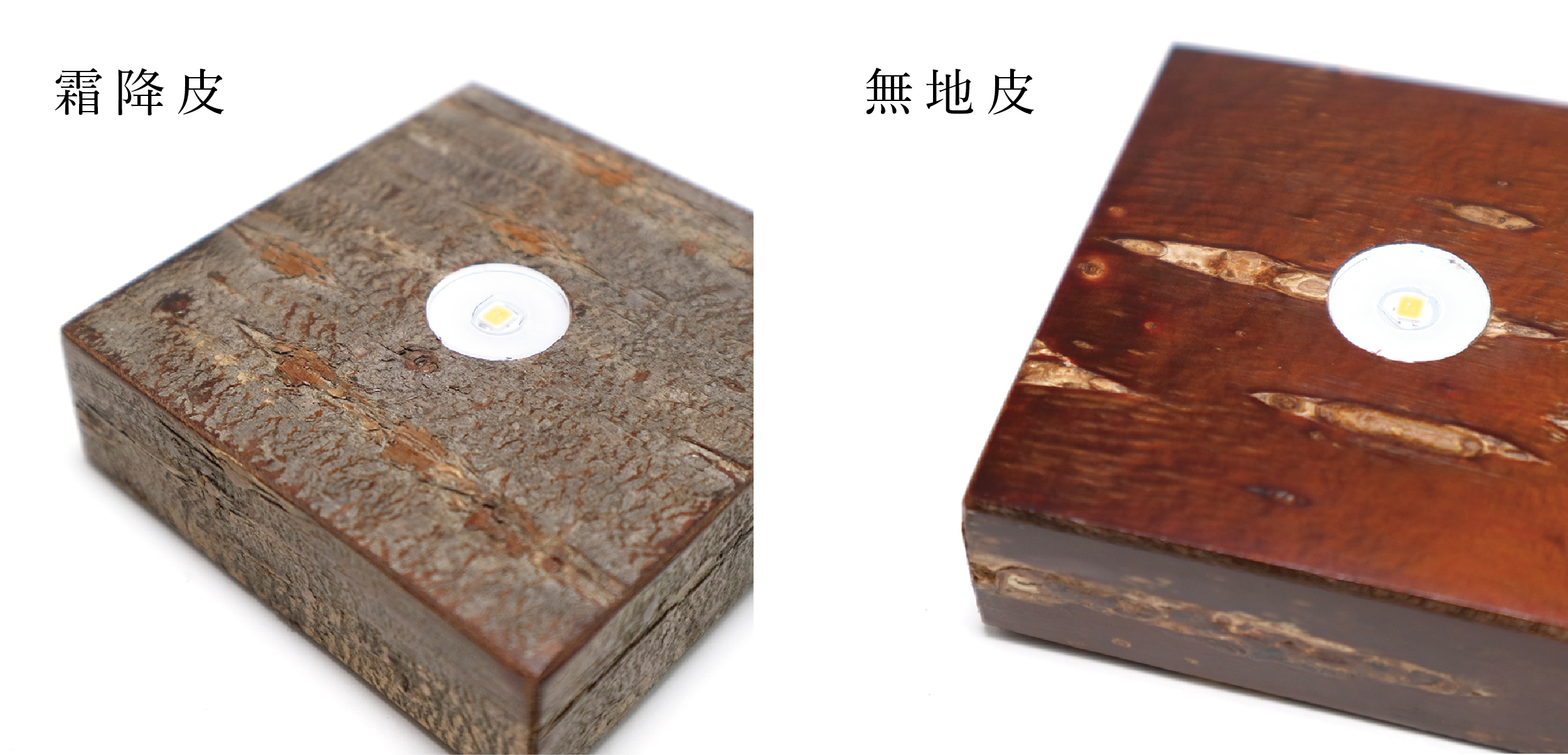 スタッフコラム #004 | サクラのSola cubeをおトクにGET！セット商品の 