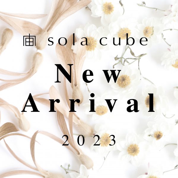 新作Sola cube 発売とキャンペーンのお知らせ