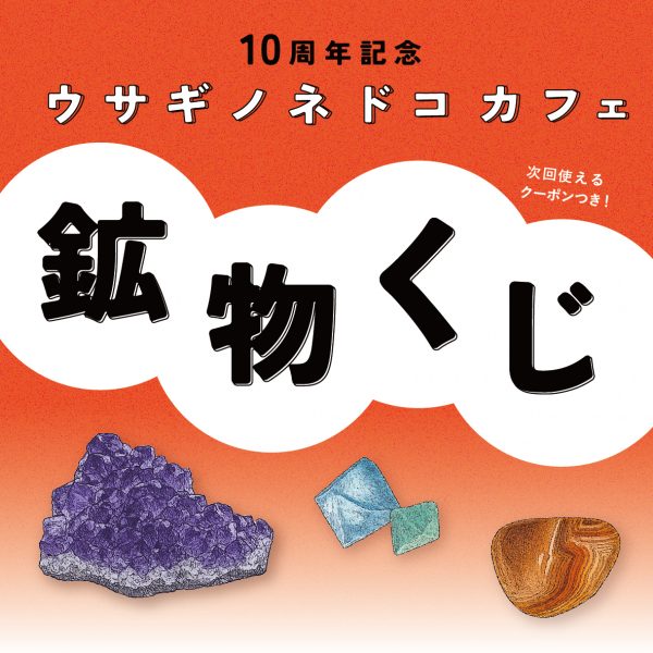ウサギノネドコカフェ 10周年記念 鉱物くじ開催のお知らせ