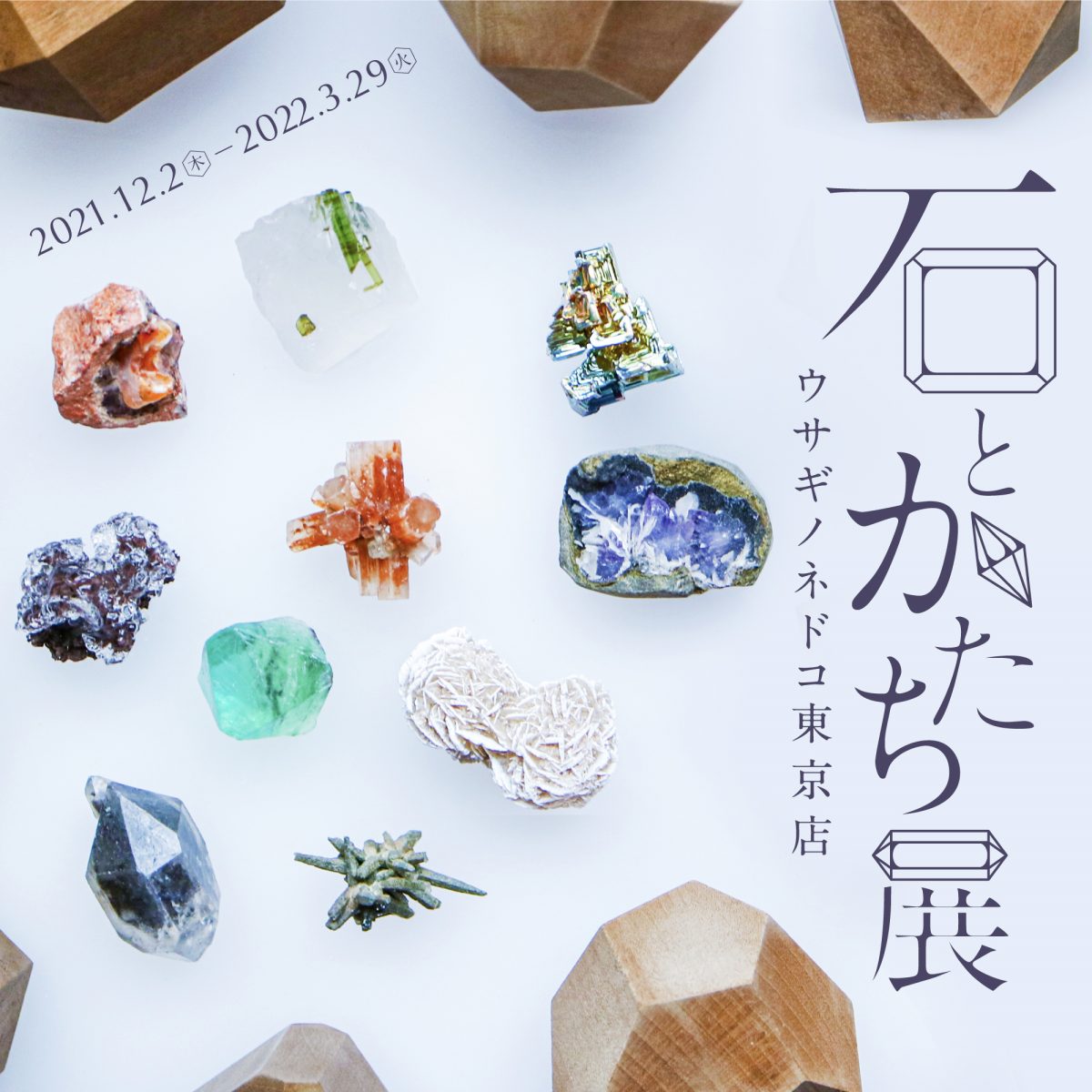 石とかたち展」開催のお知らせ – 株式会社ウサギノネドコ