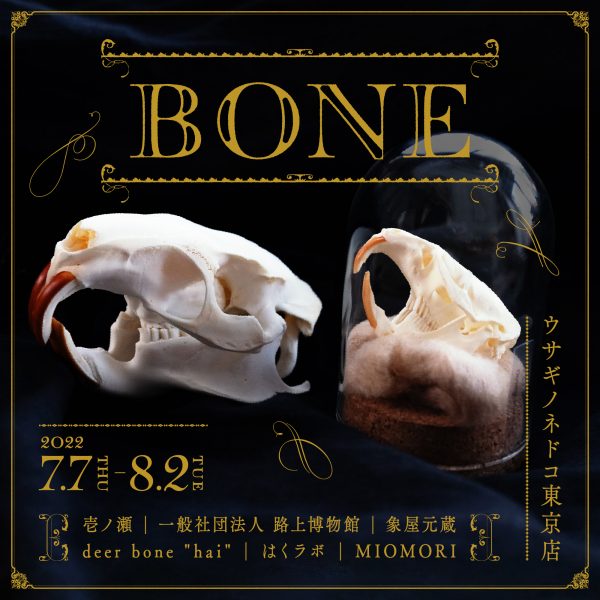 BONE　開催のお知らせ