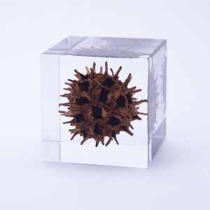 Sola cube / Products – 株式会社ウサギノネドコ