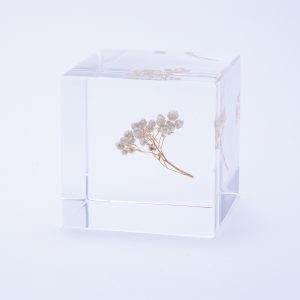 Sola cube / Products – 株式会社ウサギノネドコ