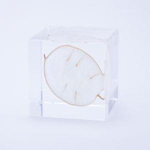 Sola cube / Products – 株式会社ウサギノネドコ