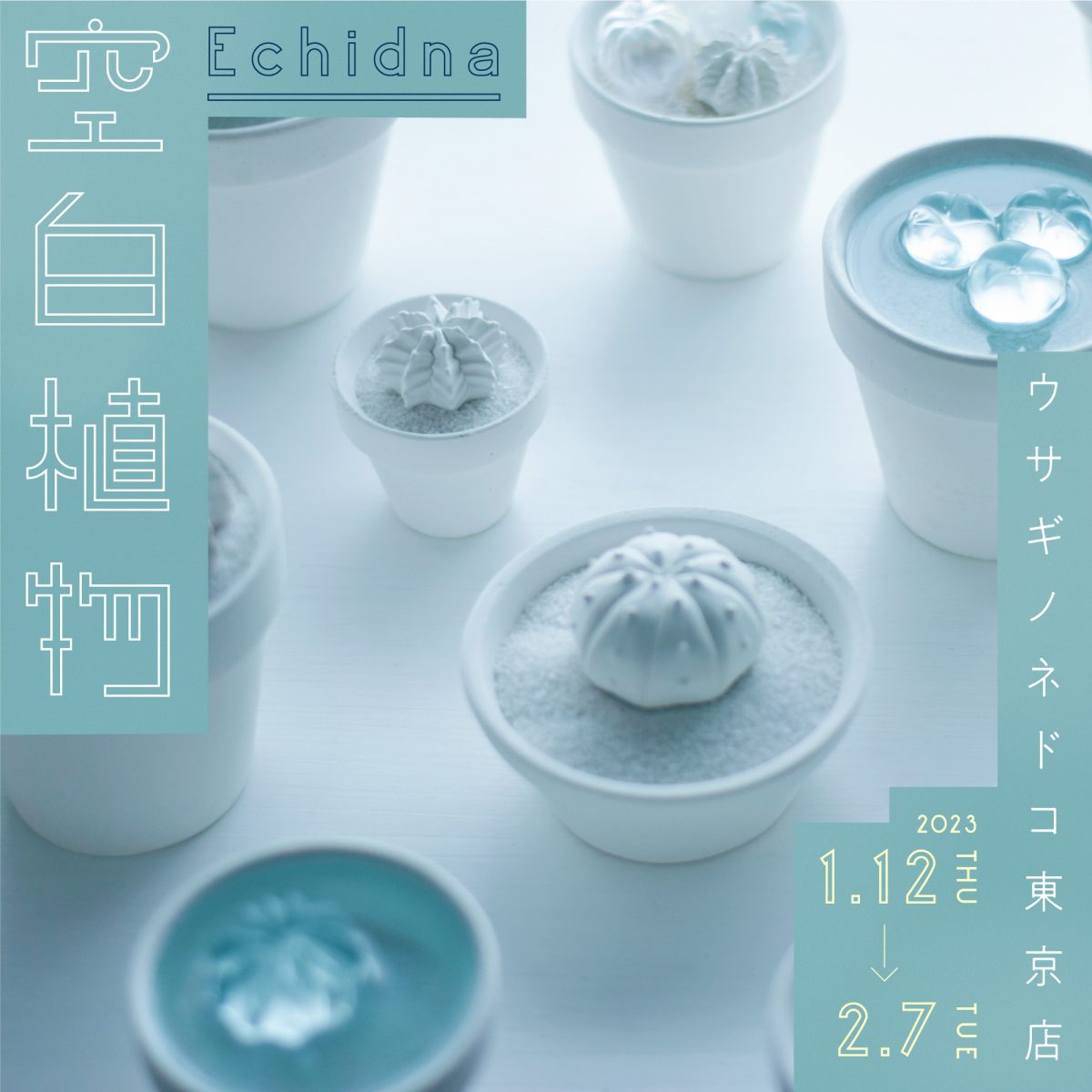 kuhakusyokubutsu_instagram-