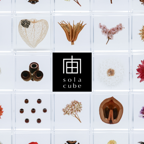 Sola cubeのブランドサイト公開のお知らせ