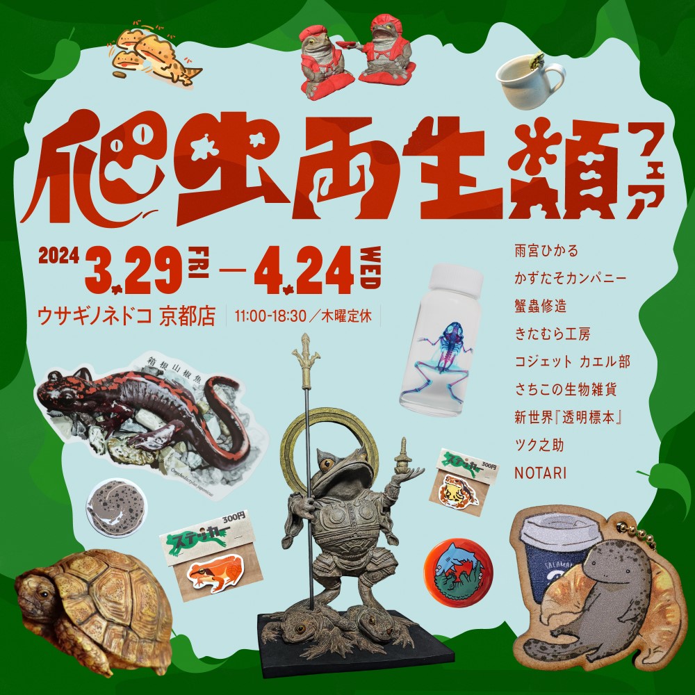 爬虫両生類フェア」のお知らせ – 株式会社ウサギノネドコ