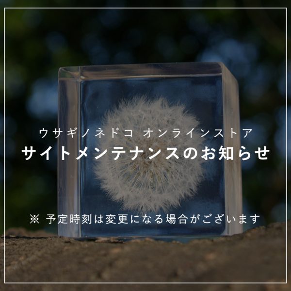 決済システムメンテナンスのお知らせ