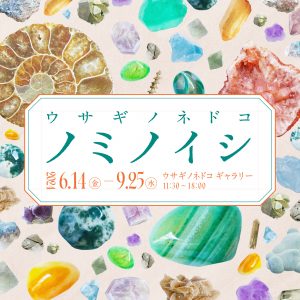 「ウサギノネドコ ノミノイシ」を開催します。