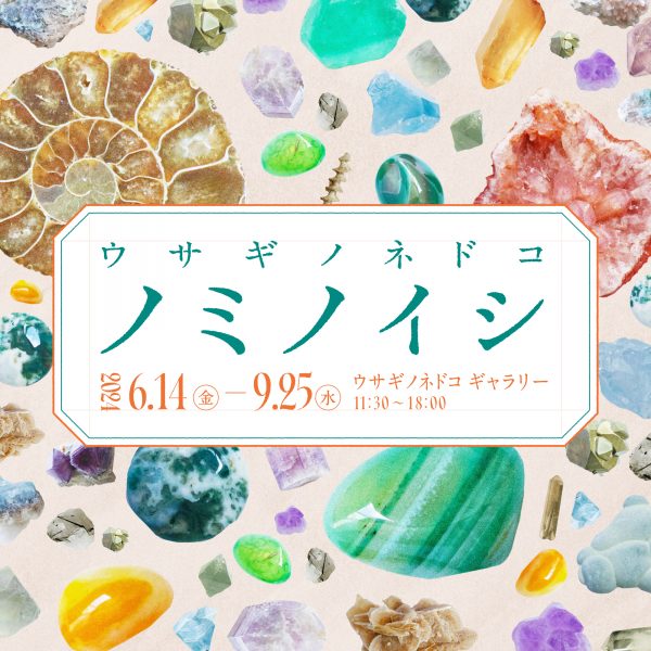 「ウサギノネドコ ノミノイシ」を開催します。