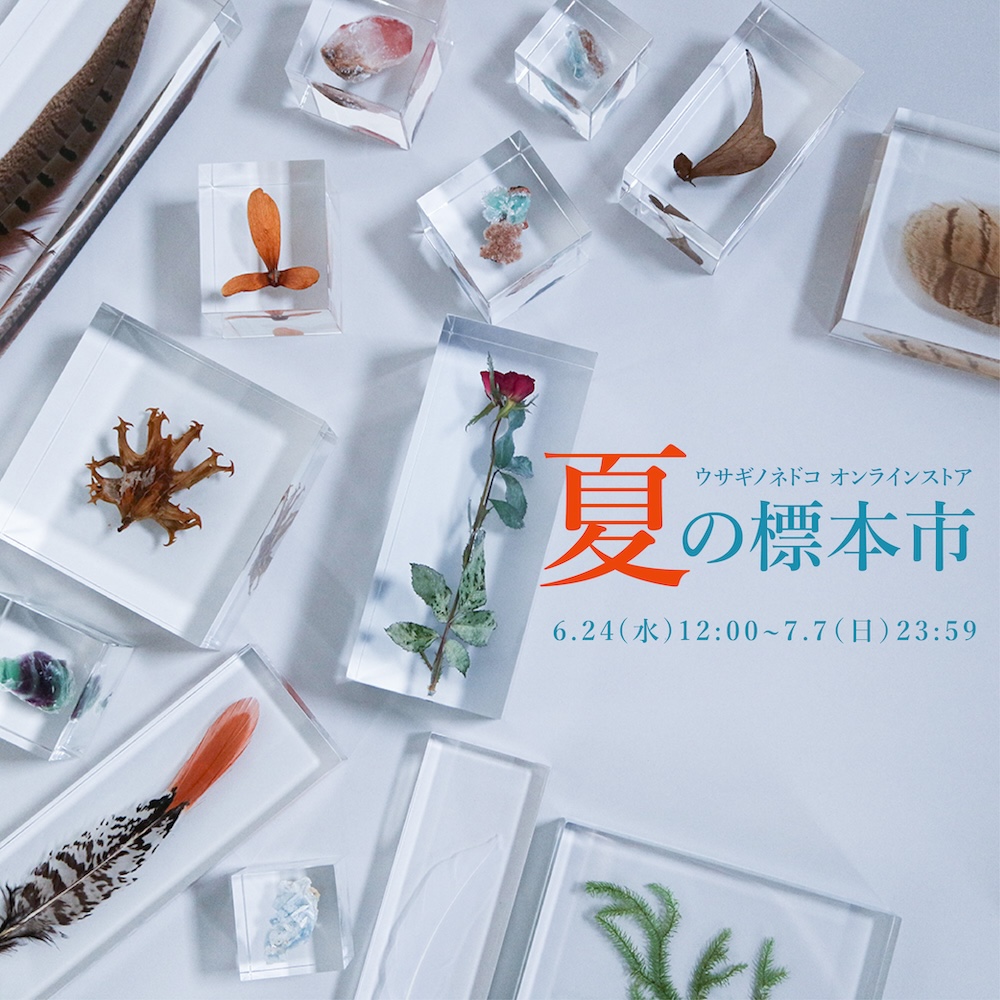 オンラインストア – 株式会社ウサギノネドコ