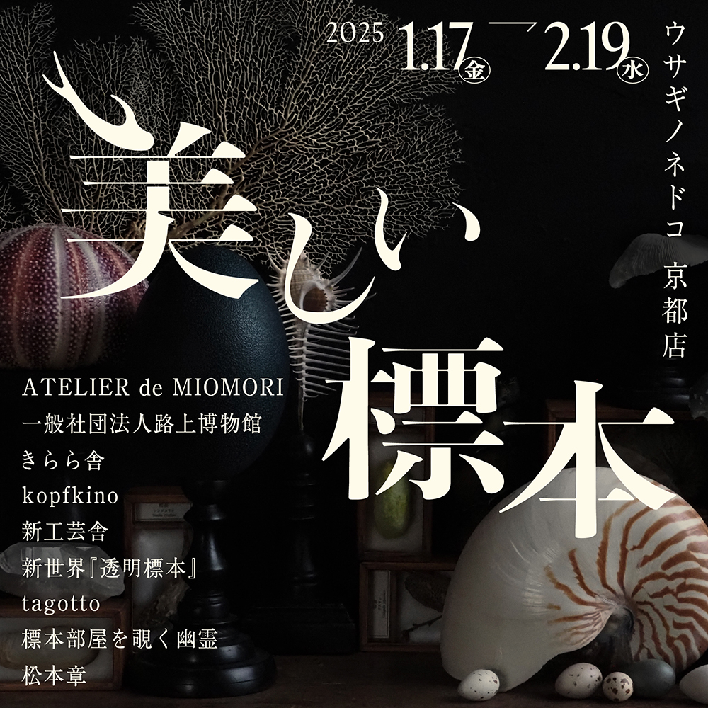 美しい標本フェア」開催のお知らせ – 株式会社ウサギノネドコ