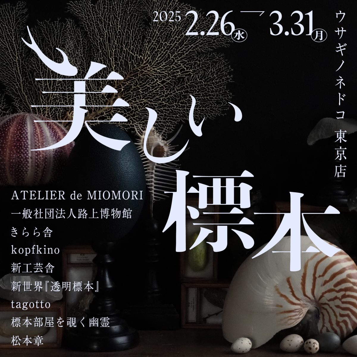 美しい標本フェア」開催のお知らせ – 株式会社ウサギノネドコ