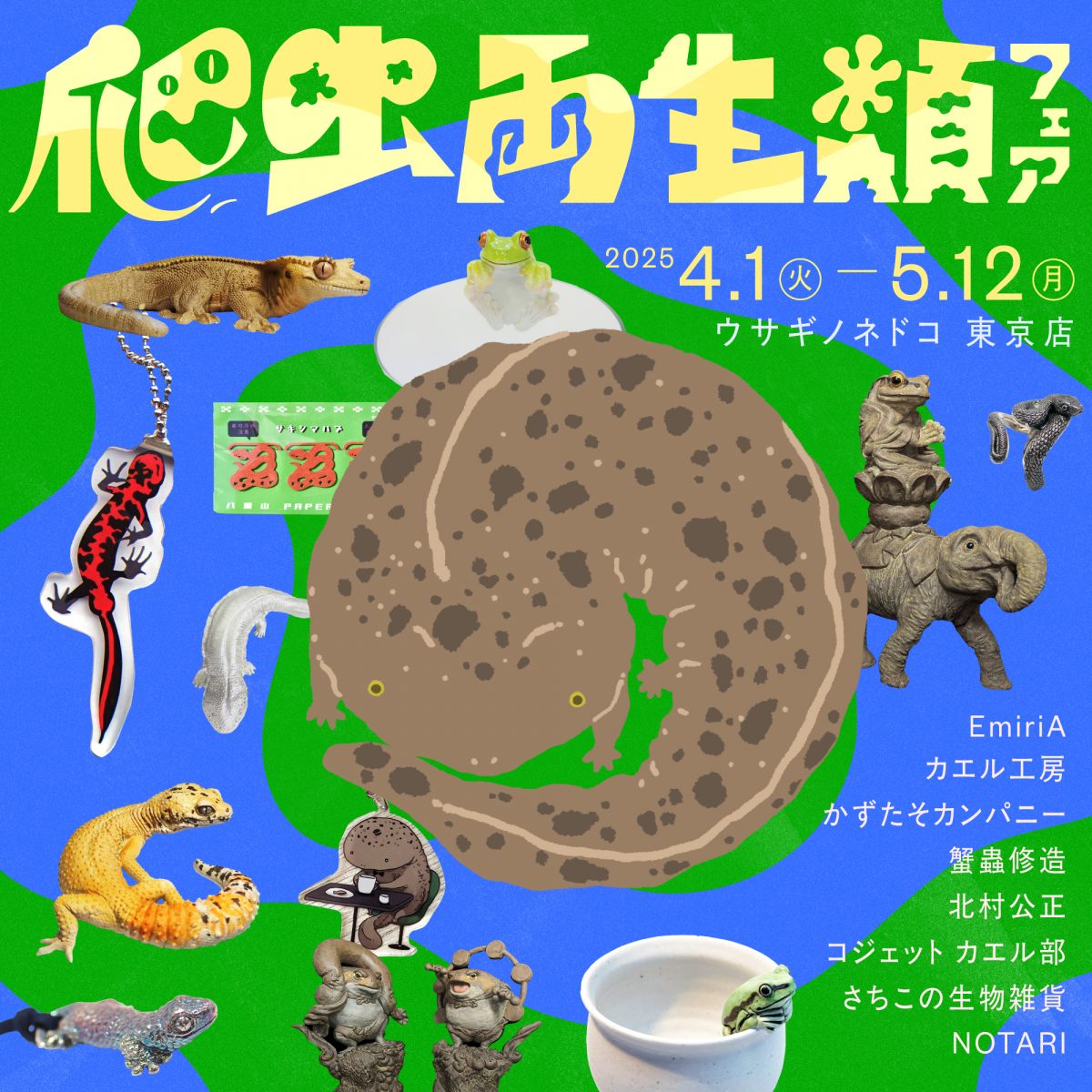 爬虫両性類フェア」開催のお知らせ – 株式会社ウサギノネドコ