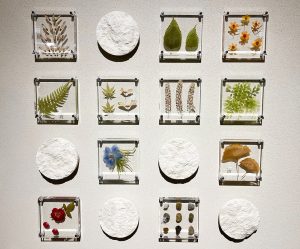 Sola tileがイニシアラウンジ三田にて常設展示されています