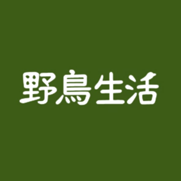 野鳥生活