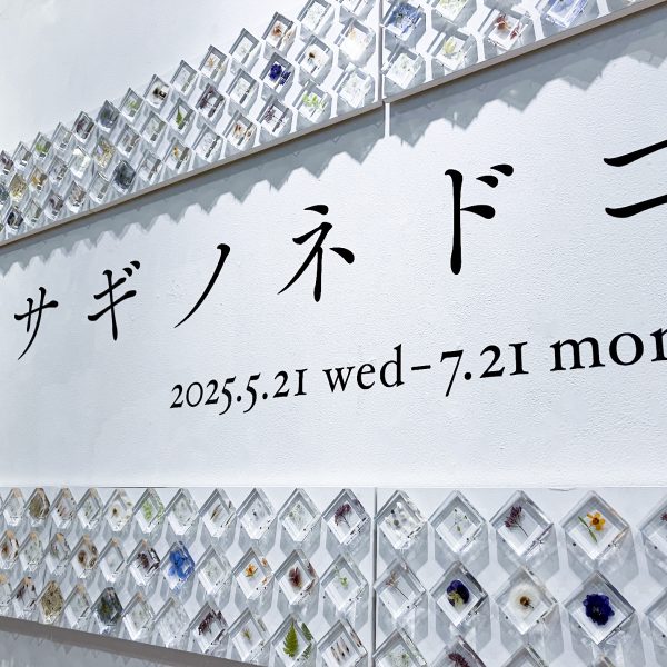 「ウサギノネドコの世界」開催のお知らせ