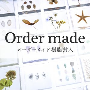 樹脂封入のオーダーメイドを承ります