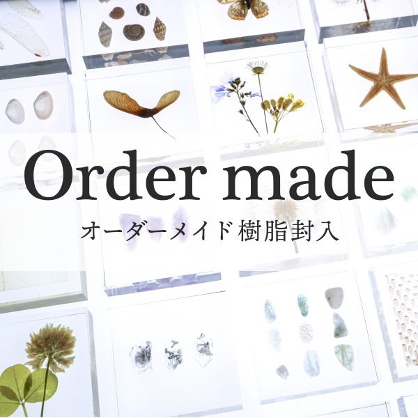 樹脂封入のオーダーメイドを承ります