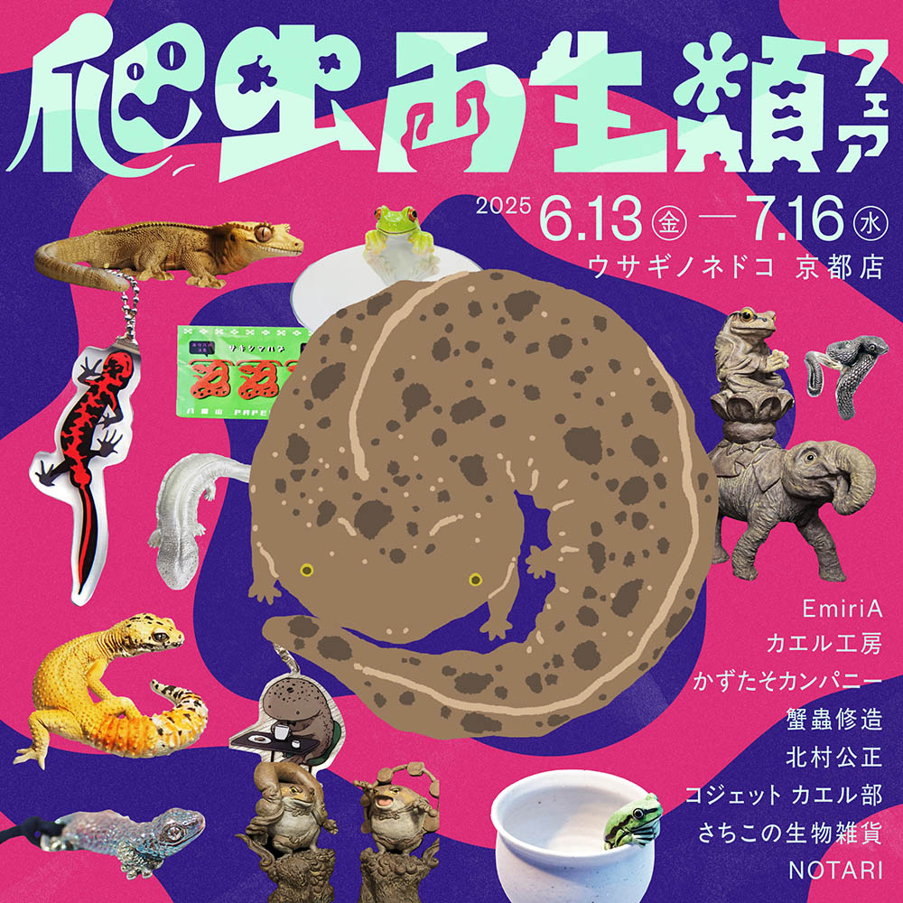 爬虫両生類フェア」開催のお知らせ – 株式会社ウサギノネドコ