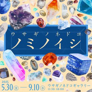 「ウサギノネドコ ノミノイシ」を開催します。
