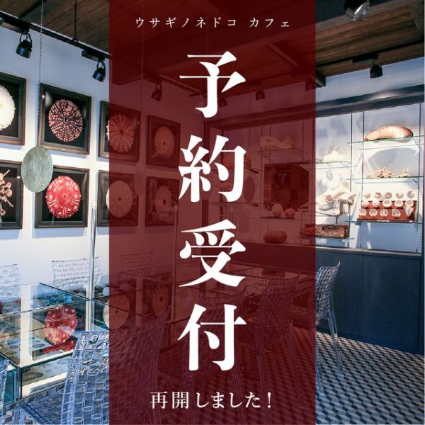 「予約受付再開」のお知らせ
