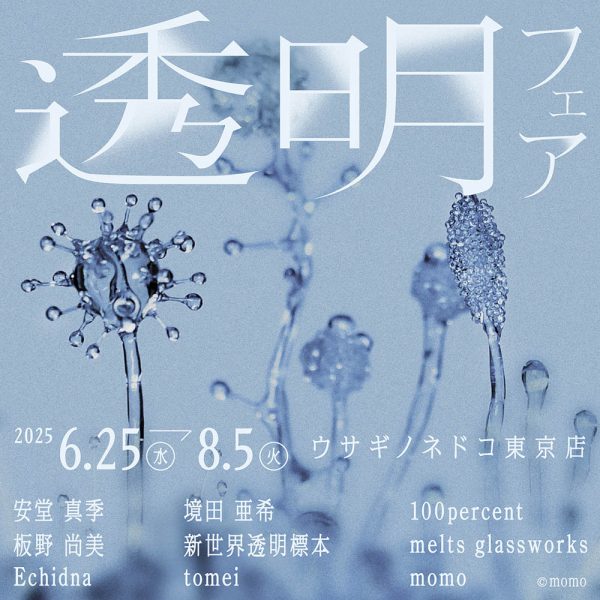 「透明フェア」開催のお知らせ