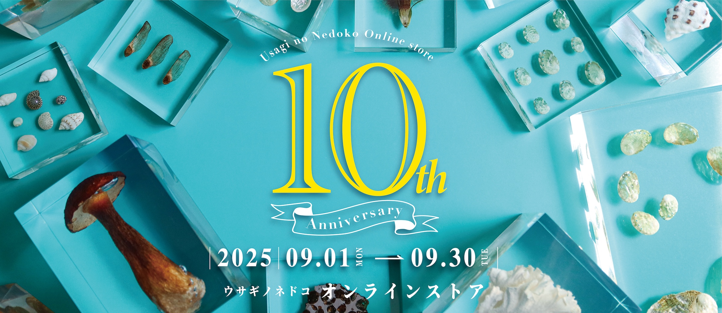オンラインストア10th Anniversary – 株式会社ウサギノネドコ