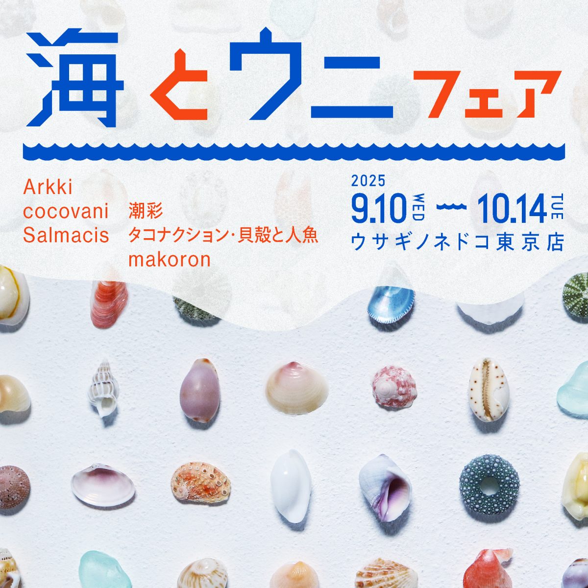 海とウニフェア」開催のお知らせ – 株式会社ウサギノネドコ