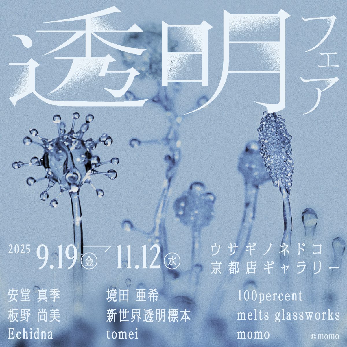透明フェア」開催のお知らせ – 株式会社ウサギノネドコ