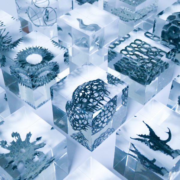 オーダーメイド樹脂封入実績