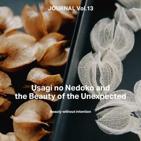 MOMOTARO JEANSブランドサイトでの掲載のお知らせ