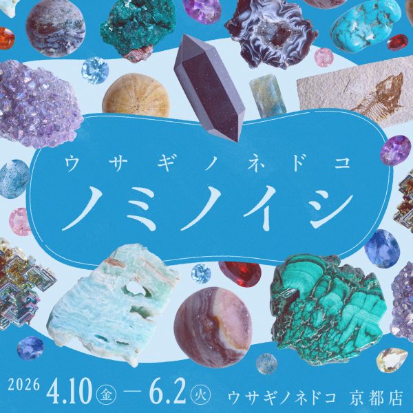 「ウサギノネドコ ノミノイシ」を開催します。