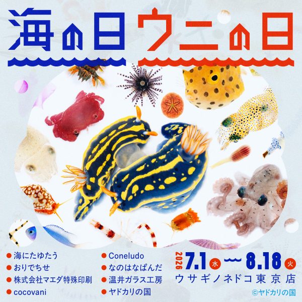 「海の日　ウニの日」開催のお知らせ