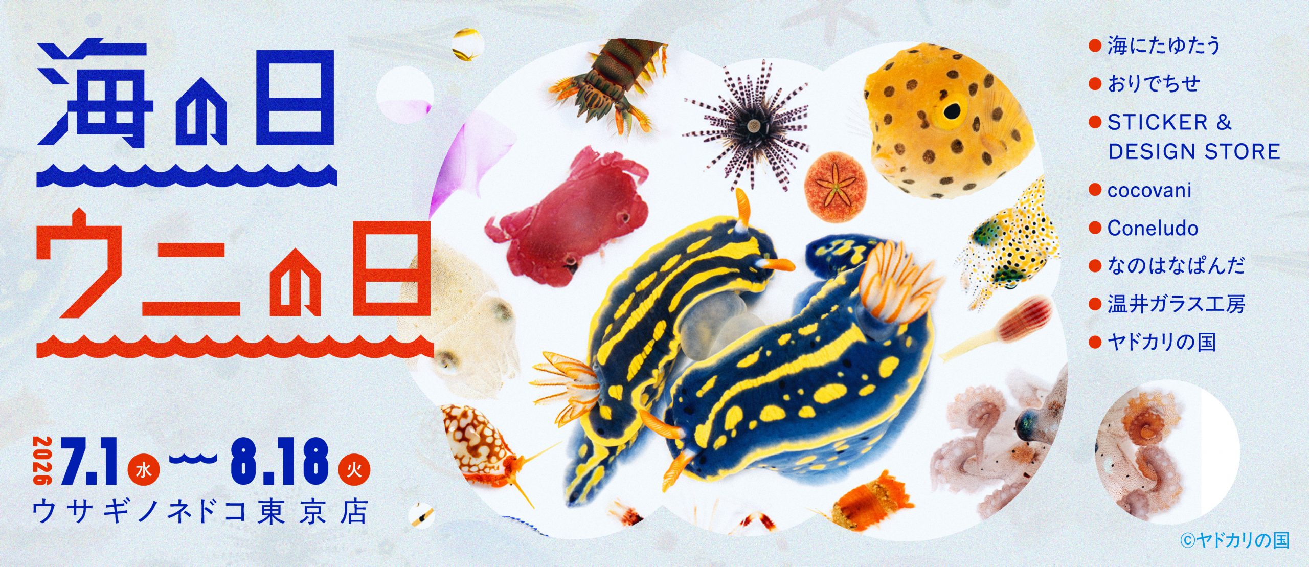 海の日 ウニの日」開催のお知らせ – 株式会社ウサギノネドコ