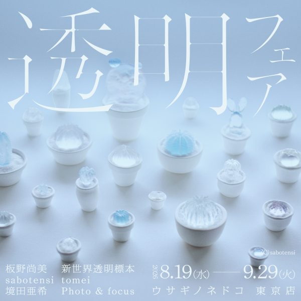 「透明フェア」開催のお知らせ