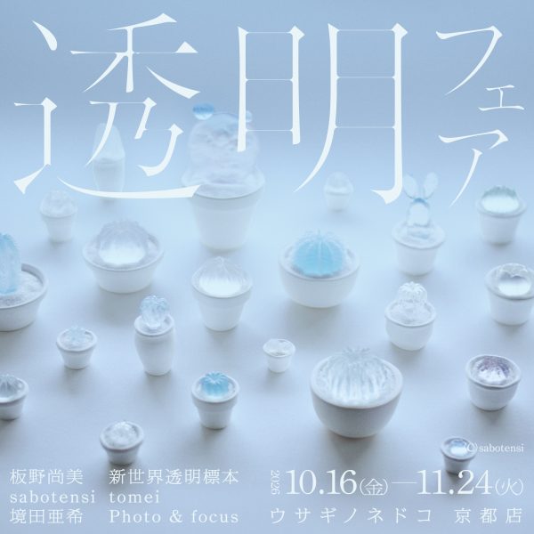 株式会社ウサギノネドコ