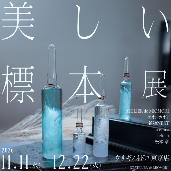 「美しい標本展」開催のお知らせ